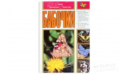 Бабочки. Самый популярный справочник - Штайнбах Г.