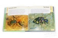500 Insects. A visual reference - Stephen A. Marshall
