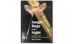 Jungle Bugs in the Night - Bruce Purser