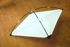 Японский зонтик (Japanese umbrella)