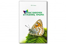 Атлас бабочек и гусениц Крыма - Савчук В.В.
